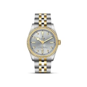 TUDOR Black Bay 31 S&G Watch 01